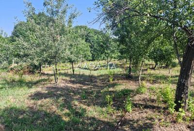 Casa 3 Camere + Teren si Anexe, Tirculesti- Danesti - 12