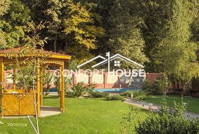 VILA D+P+E+M, 12 camere, piscina , padure, IANCU NICOLAE - 15