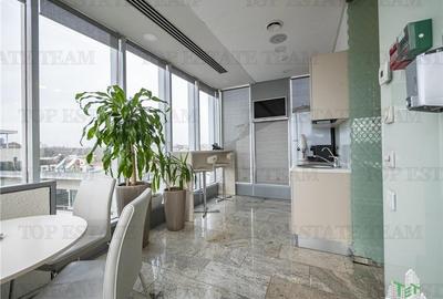 Spatiu de Birouri de 363 mp in Zona Herastrau - 10