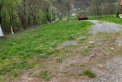 Teren intravilan cu utilitati, zona turistica Bulz,Bihor - 5