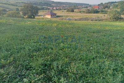 Teren intravilan 3500 mp Zalau - 3