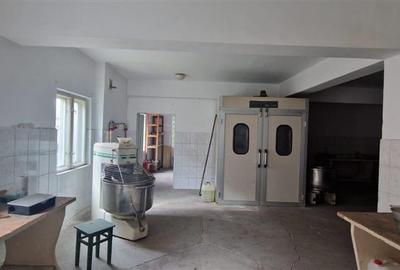 De vanzare casa(fosta brutarie) in Ernei, Mures - 7