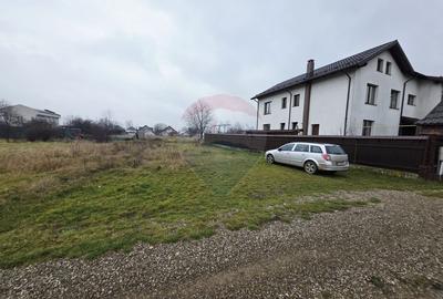 Teren 519mp Dumbrava Rosie / Strada CRANGULUI - 1