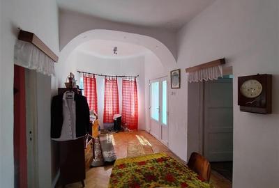 Caransebes, Casa cu Teren de 585 Mp, Zona Sesu Rosu - 8