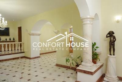 Proprietate impresionanta D+P+M, teren 4781MP, IANCU NICOLAE - 11