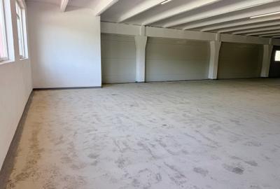 SPATII INDUSTRIALE, la etaj 1, 1364MP - direct de la proprietar - 16