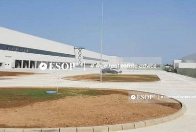 WDP Industrial Park Dragomiresti, spatii industriale, 0% comision - 2