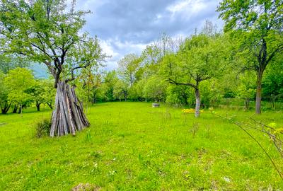 Teren 1500mp, intravilan cu utilitati, in proximitatea complexului Vila Bran - 7
