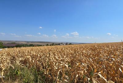Loc de casa la Zaicesti - 1