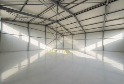 COM 0 | Hala industriala 466mp | Freidorf - 5