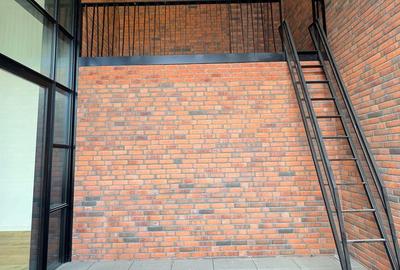 Loft spectaculos în complexul exclusivist Brick Loft – Intrarea Chefalului - 18