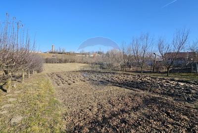 Casă / Vilă , Salcea, Suceava - 17