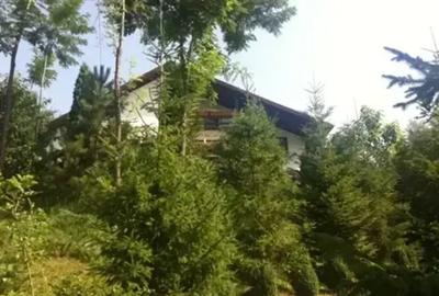 CASA DE VACANTA |  PRAHOVA| PROVITA DE JOS | BREAZA | - 4