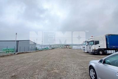 De Închiriat Teren I Scheia, Suceava I 6 EURO mp - 4