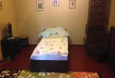 Vila Cotroceni |  Singur Curte |  Central | Metrou Eroilor - 9