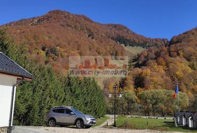 Vanzare Pensiune , Casa ,  Rezervatia Piatra Craiului / Satic, Arges - 6
