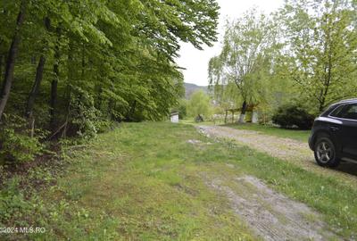 Topoloveni - Casa cu teren 1500 mp langa padure, garaj, anexe - 23
