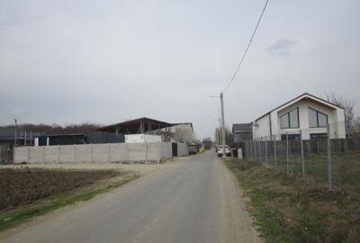 Teghes-Caminului - 10