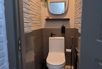 Ap. 2 cam mari + birou + boxa în vilă | Terasă | Victoriei | Intrare separată - 12