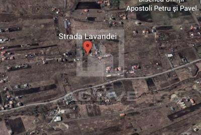 Teren extravilan str.Lavandei - 2