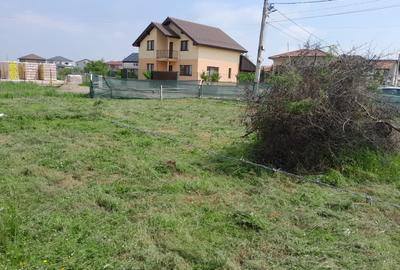 678 mp. str. N.Stoica de Hateg nr.96 - 6