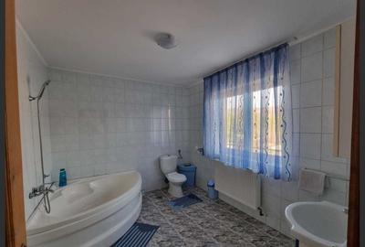 House for sale in Călinești, Argeș - 9