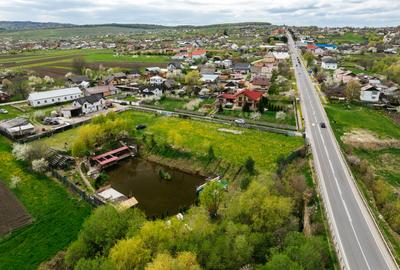 Teren de 6000mp, iaz cu peste, livada de nuci - Ilisesti - 30 km de Suceava - 24