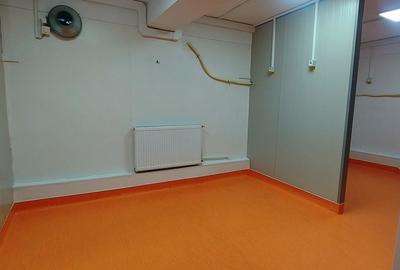 Basarabia-Chisinau, depozitare/birouri/activitati recreative, 100 m.p. - 5