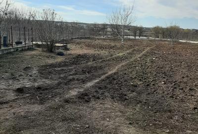 Teren de vanzare la Lac, Corbeanca - 9