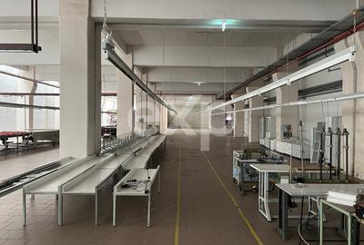 Spațiu industrial / multifuncțional | Bd. Muncii, Cluj-Napoca | 0 Comision - 7