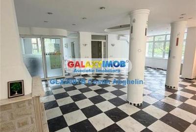 Vila 5 camere investitie -  Baneasa Aerogarii - 13