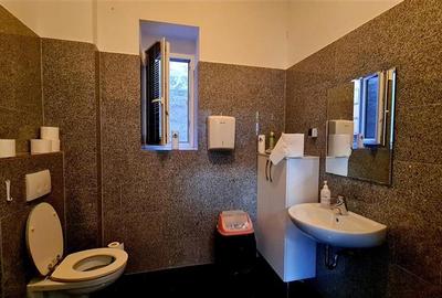 Birouri de inchiriat Central, cladire noua, parcare privata - 12