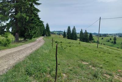 De vânzare! Parcele în Piatra Fântânele, BN, pe Drumul Romanilor, locația OPCIOA - 4