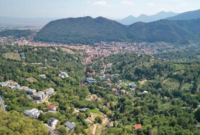 Teren intravilan Brasovul Vechi - 6