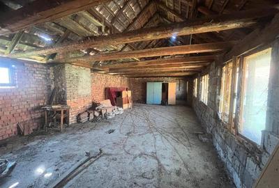 Valisoara, Casa la curte si Teren 3040 Mp, 10 minute de Caransebes - 14