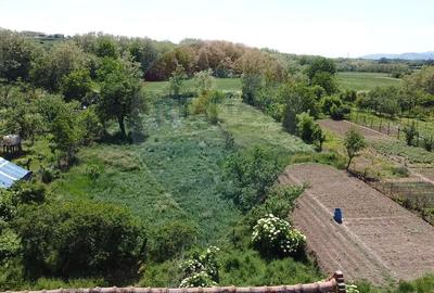 Casă cu teren generos în Ciugud cu 5 camere de vânzare - 7