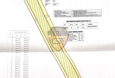 Proiect Investitie Cumpana, 6,7 ha lotizat, 132 case, aprox 400 mp, PUZ P+1, 2xD - 13
