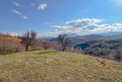 Refugiu de poveste în inima naturii | 12.000 mp în Holbav | Proiect început - 17