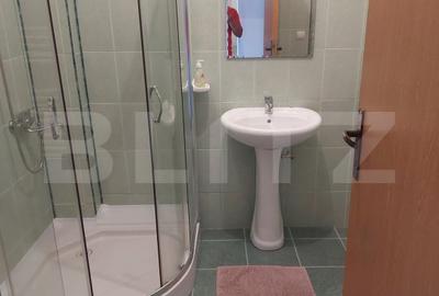 Oportunitate investitie, apartament de vanzare, 37 mp, zona semicentrală - 4