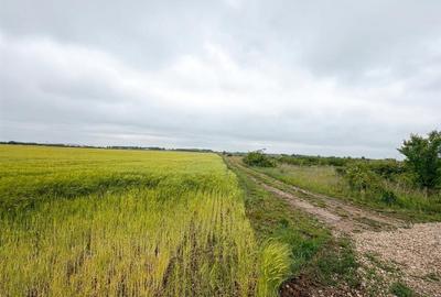 RECO teren extravilan 6400 mp cu dubla deschidere la strada - acces din Dex 16 - 3