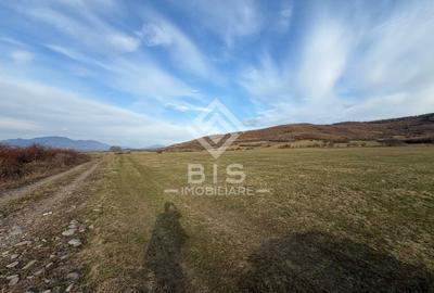 Teren de vanzare extravilan 1000mp - Aerodrom - 3