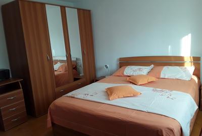 Se vinde casa individuala in satul Totea de Hurezani, judetul Gorj - 8