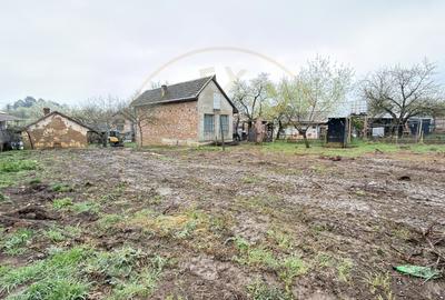 De vânzare 2 Case de vinificație cu Teren 4108 mp - Grădina Viilor - Carei - 17