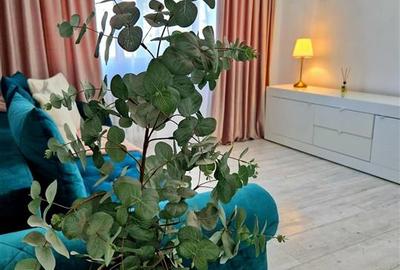 Apartameent Lux zona Cantemir etaj intermediar - 9