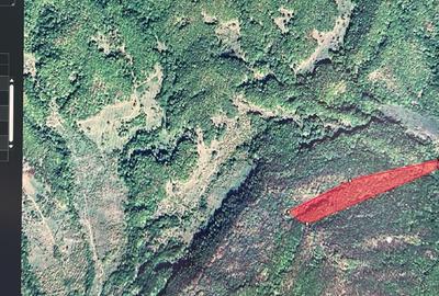 Padure fag 5 hectare (peste 100 de ani), Prahova, Posesti - 1