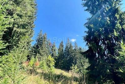 Teren Intravilan Predeal - Acces direct DN - Priveliste deosebita - 38