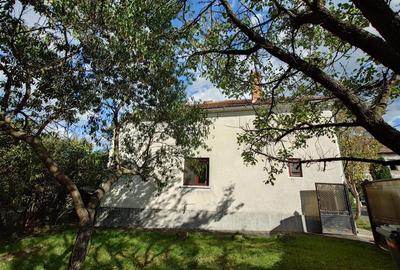 Casa cu aer nobil in Baia de Cris - 16