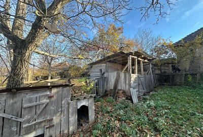 GOSPODARIE - liniste - natura - DE VANZARE - 9