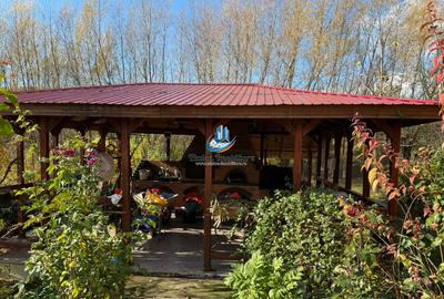 Casa 240 mp utili P+M, 9000 mp teren, Girov, Jud. Neamt - 12