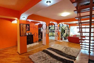 Vila de vanzare in Copou - Iasi / Reședință sau Clinică /D+P+1E - 3
